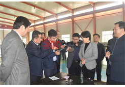 臨清市長祁學(xué)蘭參觀慰問