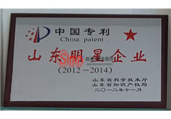 中國專利山東明星企業(yè)